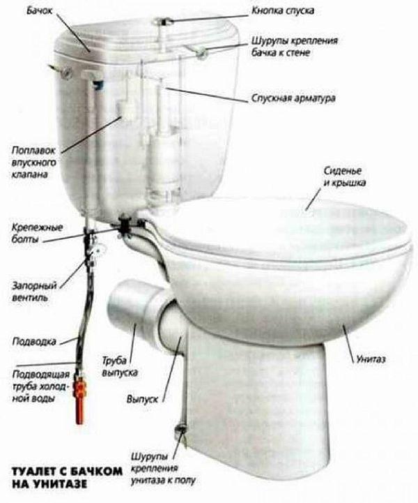 Внутренности сливного бачка унитаза – как поменять самому (инструкция)